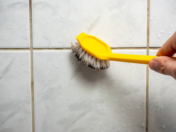Best Water Damage Restoration  in Spencerville, MD