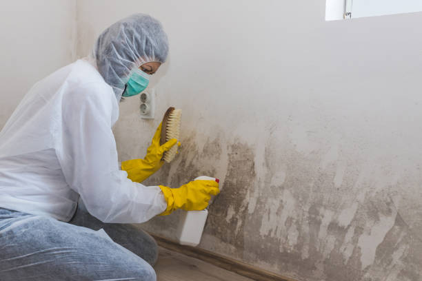 Crawl Space Mold Removal in Spencerville, MD
