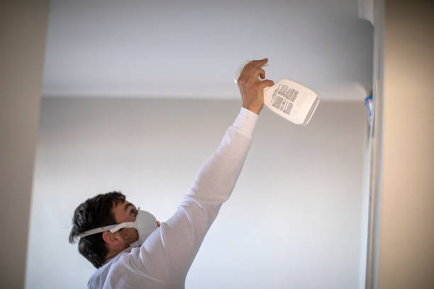 Best Professional Mold Removal  in Spencerville, MD