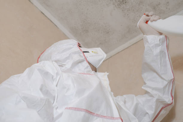 Best Toxic Mold Removal  in Spencerville, MD