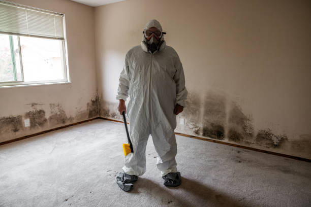 Best Fast Mold Removal  in Spencerville, MD